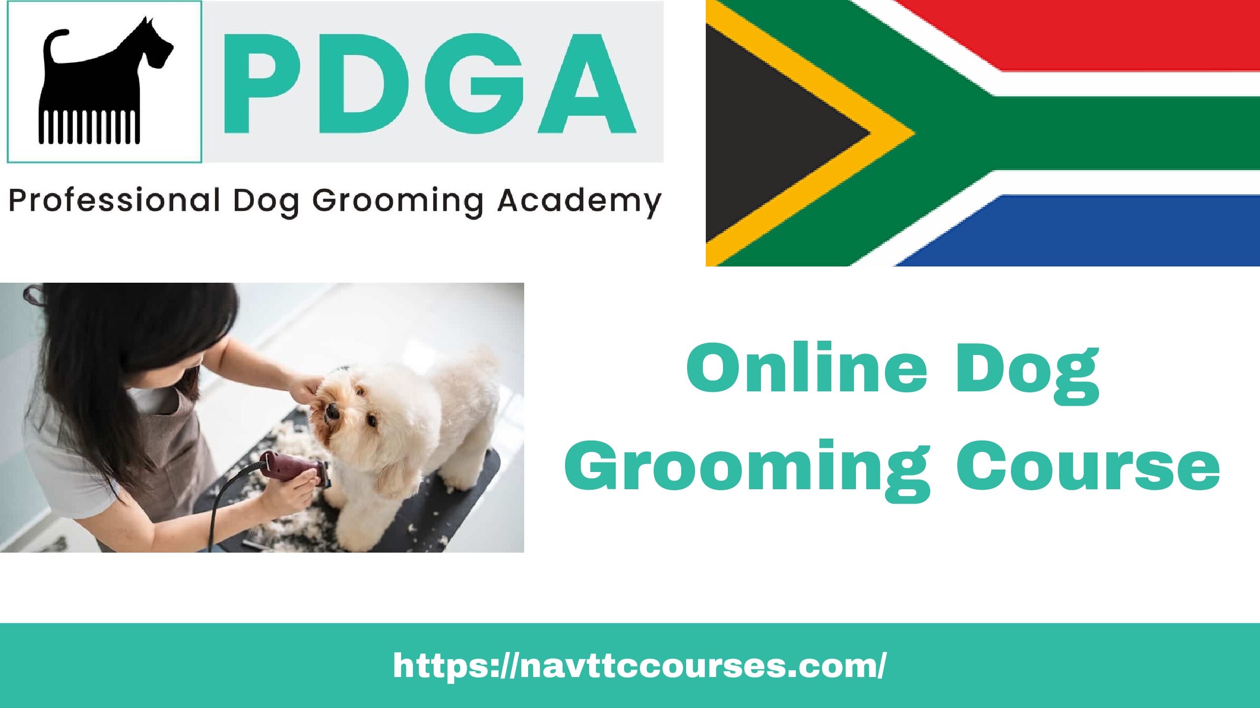 Online Dog Grooming Course 2024 in South Africa