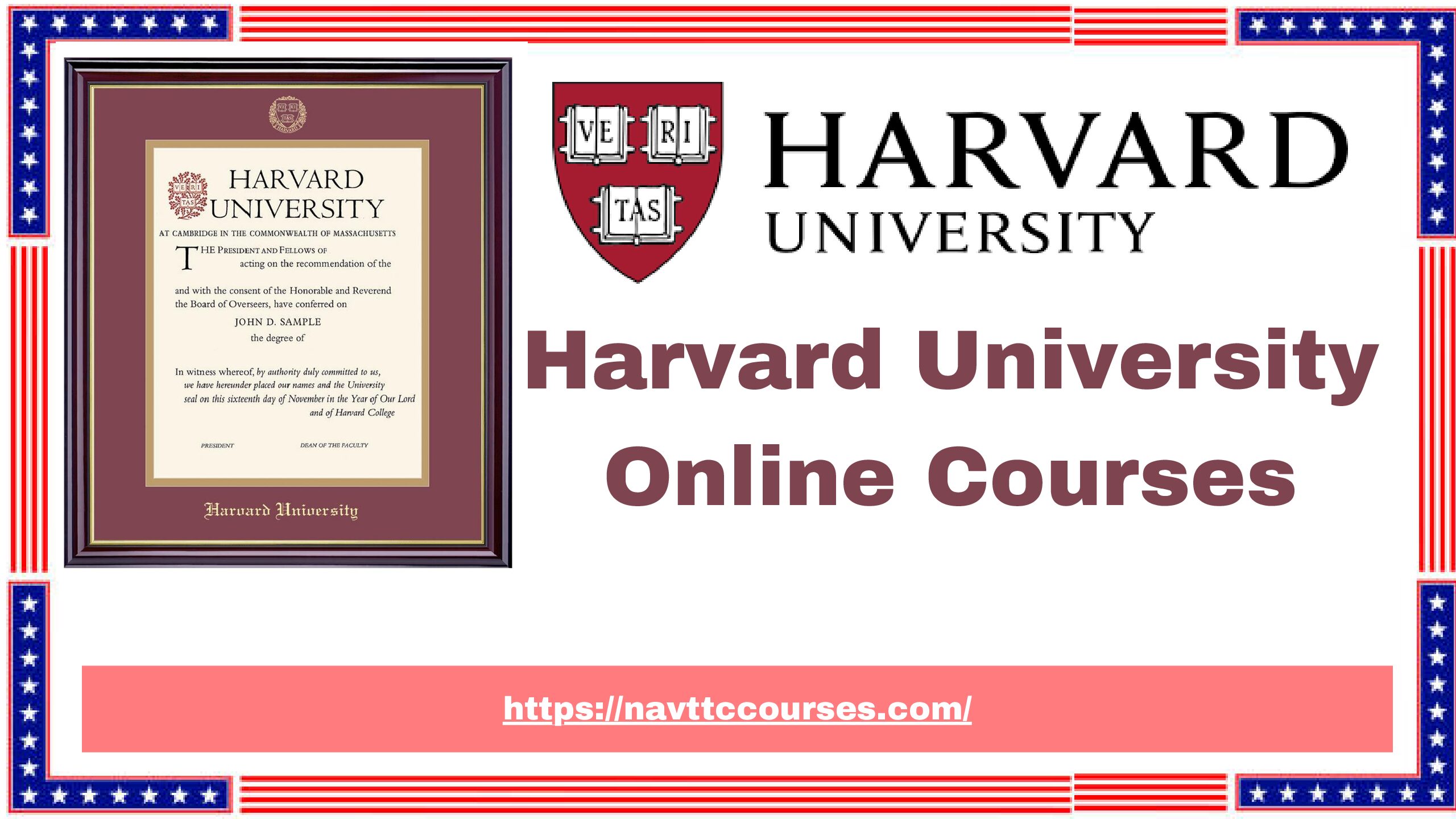 Harvard University Online Courses 2024