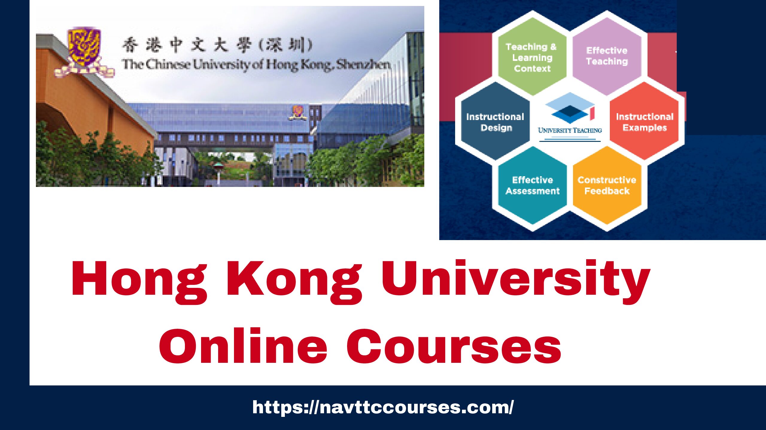 Hong Kong University Courses 2024