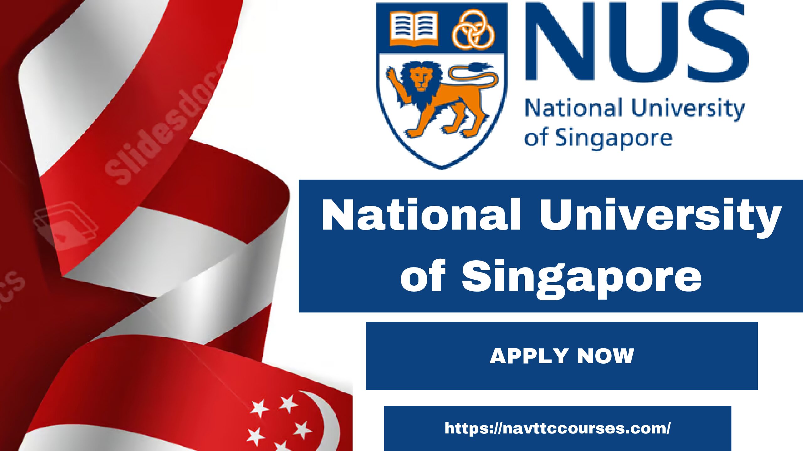 National University of Singapore Online Courses 2024