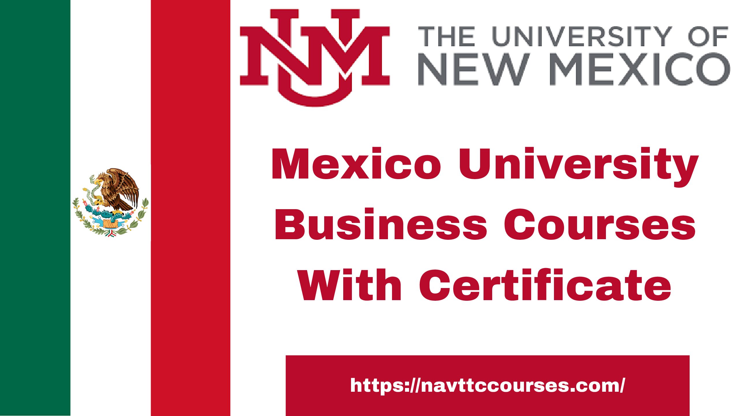 Mexico University Business Courses 2024 With Certificate