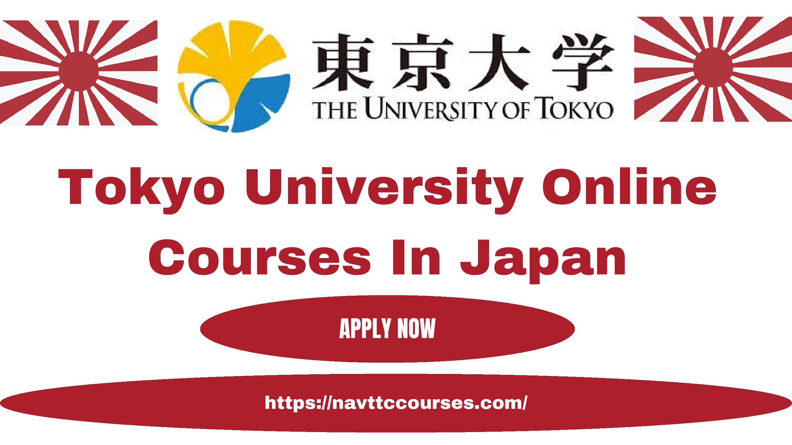 Tokyo University Online Courses 2024 In Japan